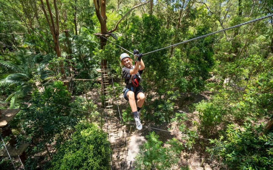 Currumbin: Treetop Challenge Adventure Park - Safety Training, Equipment, and Physical Requirements