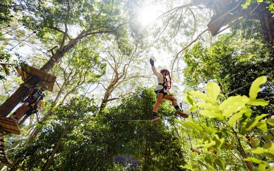 Currumbin: Treetop Challenge Adventure Park - Moving Up Through Ziplines and Ninja Challenges