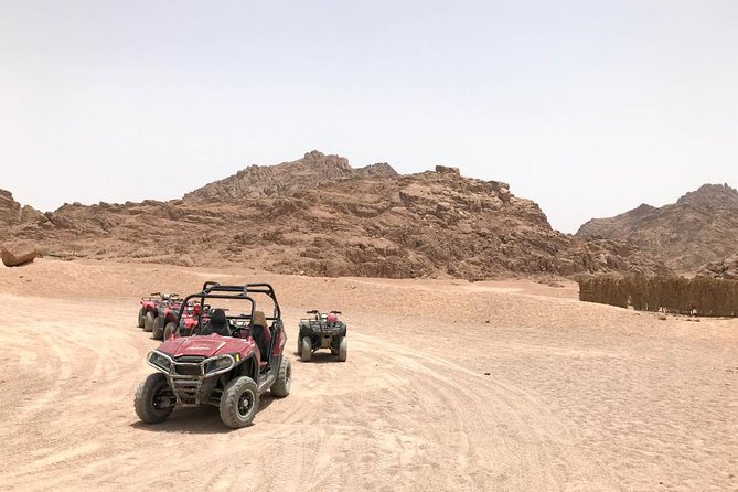 Desert Safari adrenaline tour in Sharm-Elsheikh on Quad ATVs bike - Should you book the Sinai quad-bike tour?