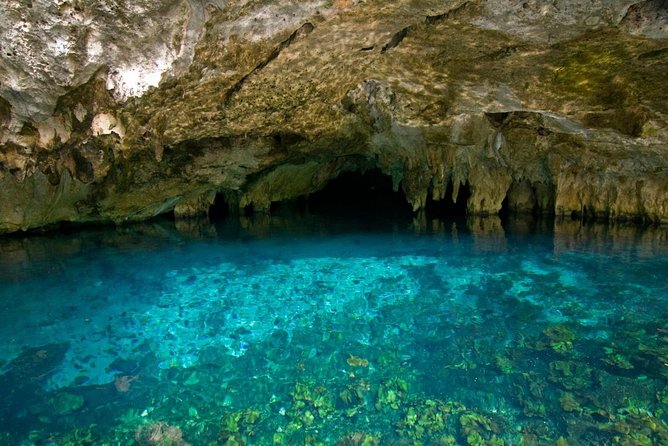 DISCOVER a Unique Secret River with Plus EXPERIENCE in Bike route & Rappel - Key things to know before booking