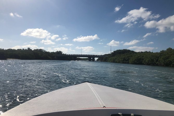 Drive the best speedboat in Cancun and feel the adrenaline. - Who will enjoy this Cancun speedboat tour