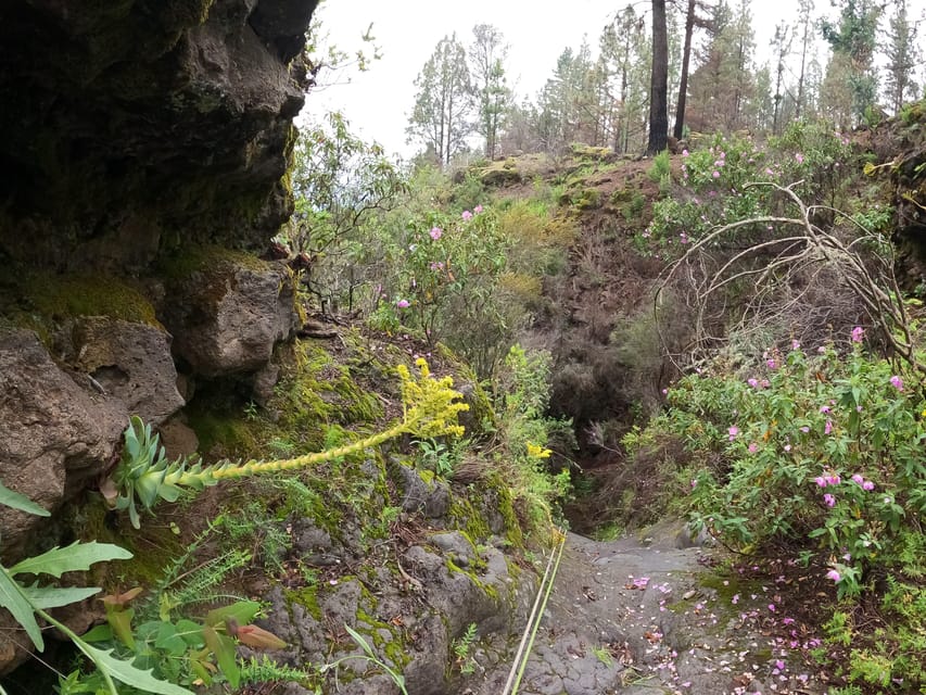 Dry canyoning Chimoche - Is Chimoche worth booking?