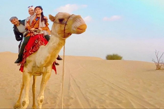 Dubai: Extreme Desert Safari, Camel Ride, Show & BBQ Dinner - Sandboarding and a short camel ride