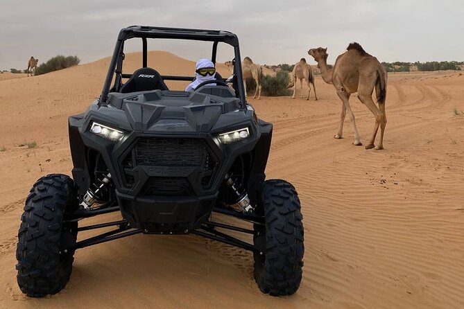 Dubai: Extreme Red Dune Buggy Desert Safari Adventure - Who will enjoy this desert adventure most