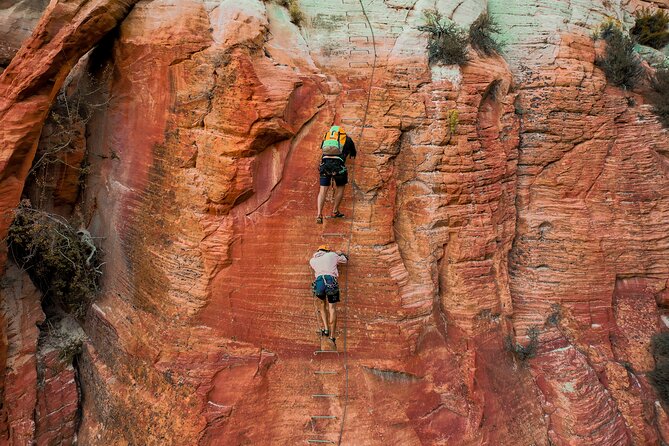 East Zion Elk Heart Cliffs Via Ferrata and Rappelling (3Hr) - Who should book this experience?