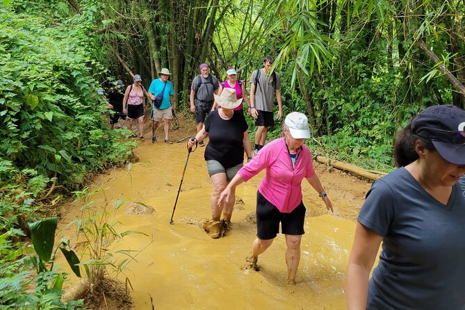 El Yunque Rainforest - Waterslide, Cliff jump, and Rope swing! - What to bring for a wet, muddy day