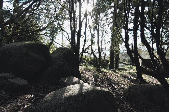 Epic Off-Road Adrenaline in Sintra - Lakes, convents, and local stories instead of a palace interior