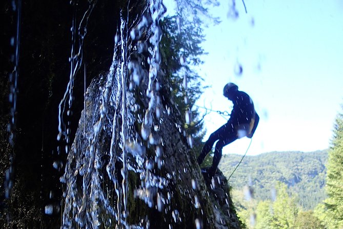 Exclusive - Private Bled Lake Canyoning Adventure - Pickup, timing, and the Bled meeting point