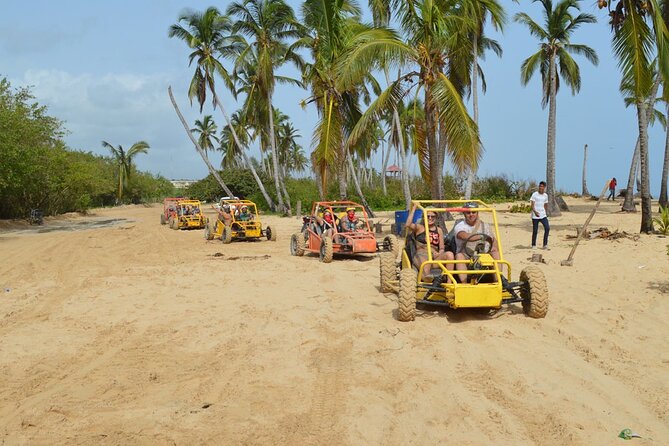 Extreme Boogie Tour in Punta Cana, Macao Beach and Cenote - The typical house blends tasting with shopping
