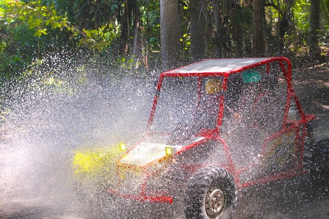 Extreme Buggy Adventure in the Puerto Plata Fields - Guides, drivers, and the service side