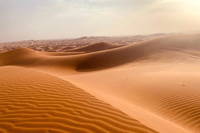 Extreme Desert Safari Evening with Dinner - Key points to know before booking