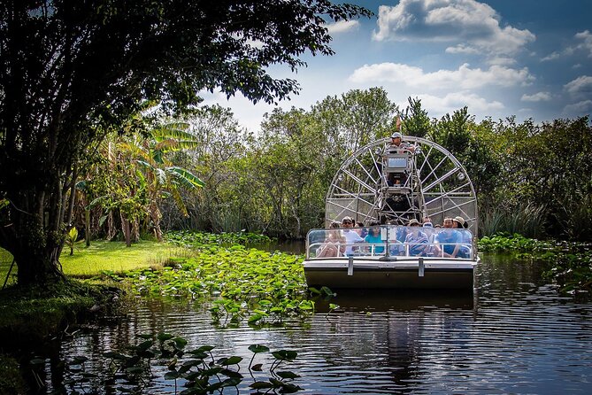 Extreme Everglades: Crocodiles and Adventure from Miami - Alligators, crocodiles, and the wildlife presentation