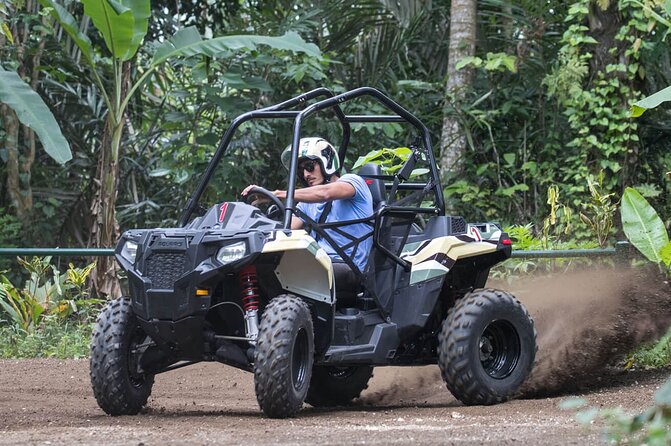 Extreme Jungle, water Cave, and Beach Buggy-Atv Punta Cana - Coffee, cacao, chocolate, and cigars