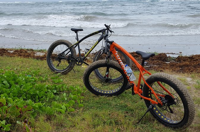 Extreme Outback Tour in St Lucia - Is $120 a fair price?