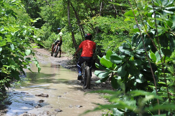 Extreme Outback Tour in St Lucia - Daren Sammy Cricket Ground gives the ride local context