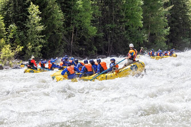 Extreme Whitewater Rafting on Kicking Horse River - What the Class 3 and 4 rapids feel like