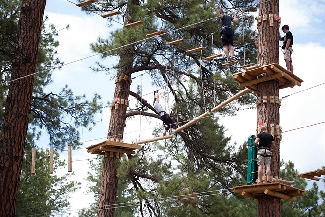Flagstaff Extreme Adventure Course-Adult Course - Green course: finding your rhythm