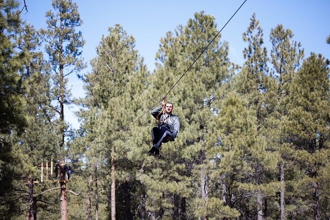 Flagstaff Extreme Adventure Course-Adult Course - Blue course: ropes, swings, and tree-climbing movement