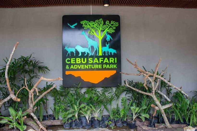 From Cebu City: Cebu Safari and Adventure Park Day Tour - The drive from Cebu City to Carmen