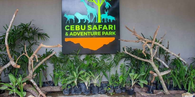 From Cebu City: Cebu Safari and Adventure Park Day Tour - The bird show and the limits of the program