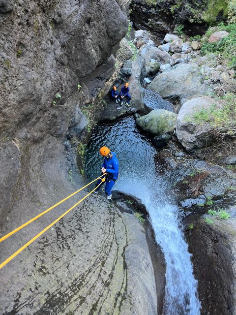 From Funchal: Intermediate Canyoning Adventure (Level 2) - Why this Madeira canyoning trip is exciting