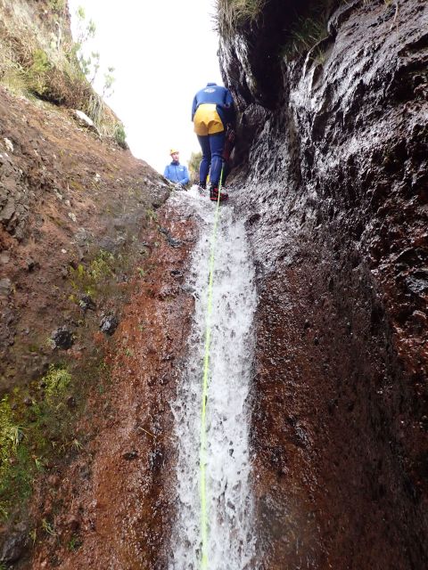 From Funchal: Madeira Island Canyoning for Beginners - What the $82 Madeira canyoning trip is really like