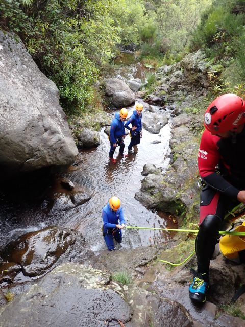 From Funchal: Madeira Island Canyoning for Beginners - Why the scenery is part of the attraction