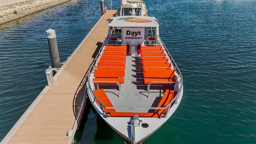 FROM LAGOS: BENAGIL AND DOLPHIN WATCHING - JETBOAT - Guide quality and language
