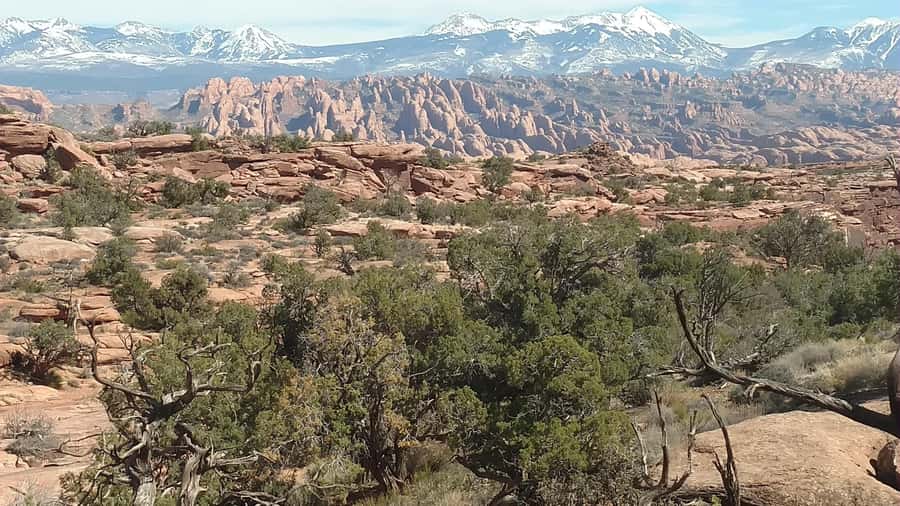 From Moab: Rock of Ages Moderate Rappelling Obstacle Course - The 4x4 ride through five miles of rough desert
