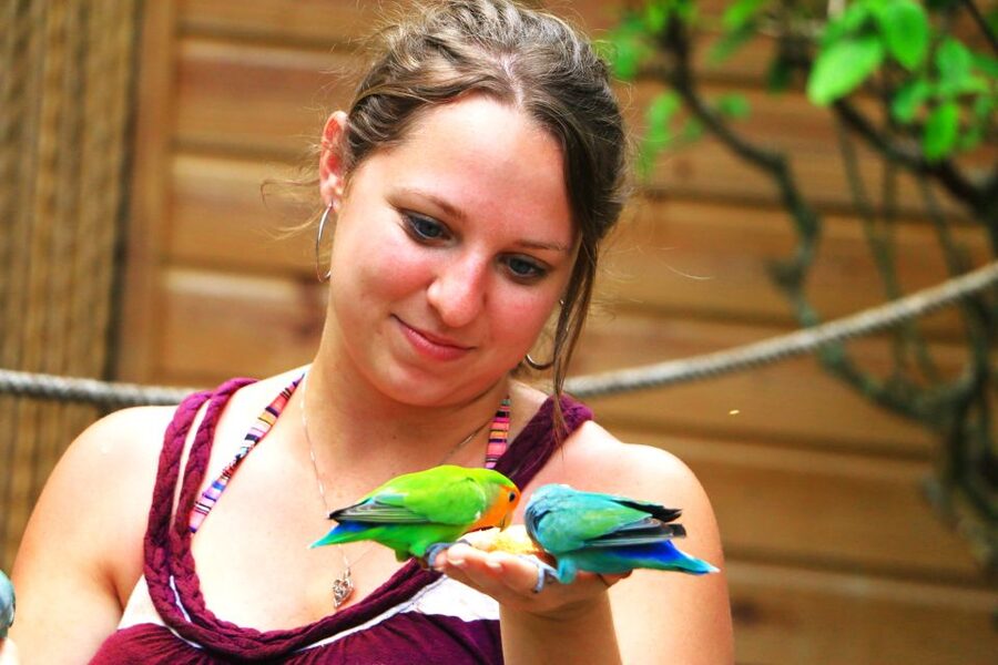 From Ocho Rios: Yaaman Adventure Park ATV Tour with Lunch - Key points at a glance