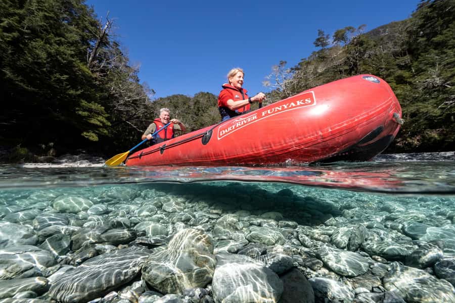 From Queenstown: Dart River Canoe & Jet Boat Day Trip - Guides, safety, and the pace of the day