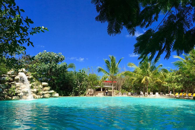 Full Access To Bavaro Adventure Park - With Buggys & Lunch - Dominican lunch, drinks, and the extra costs