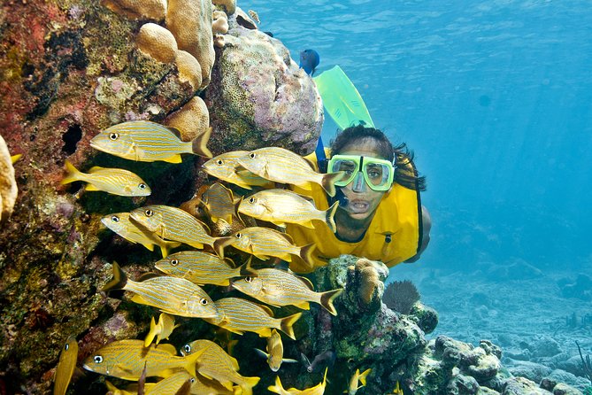 Full-Day Snorkel Extreme Adventure Tour from Riviera Maya - A full morning of action from Playa del Carmen