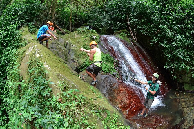 Full-Day Zipline and Waterfall Rappelling Adventure Near San Juan - Why this Carite adventure feels different