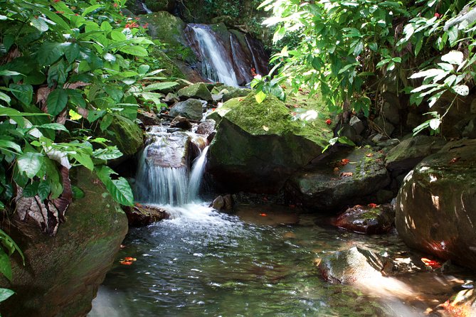 Full-Day Zipline and Waterfall Rappelling Adventure Near San Juan - Who should book this, and who should skip it