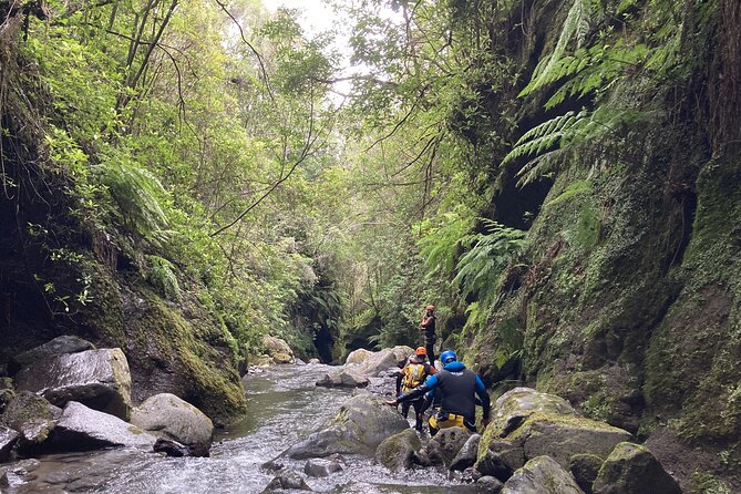 Funchal: Half-day Beginners Canyoning - Meeting at Hotel Galosol at 8:30 am