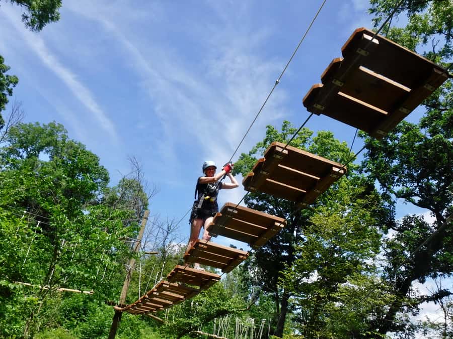 Galena: Aerial Adventure Park- Long Hollow Canopy Tours - Why Long Hollow Is More Than a Zipline Ride