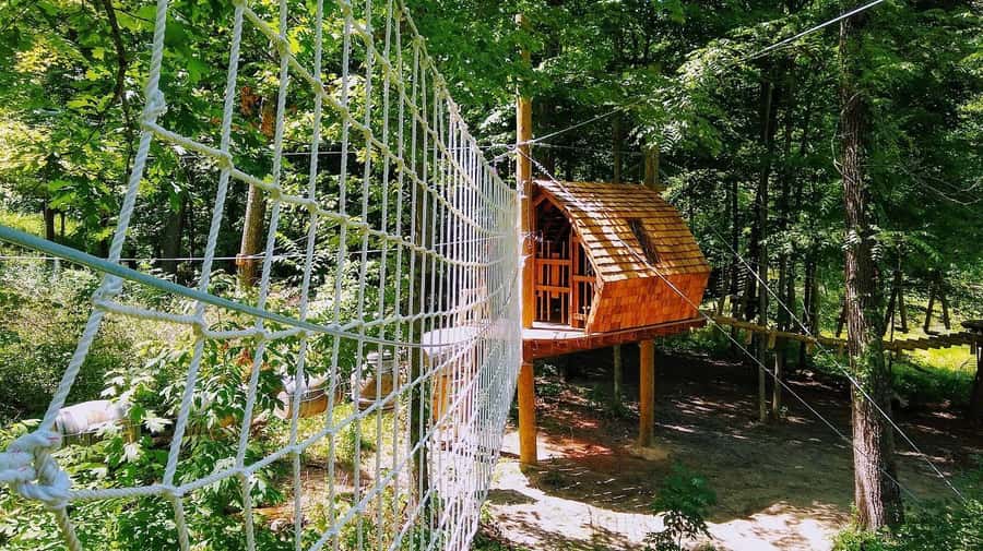 Galena: Aerial Adventure Park- Long Hollow Canopy Tours - What $69 Buys You