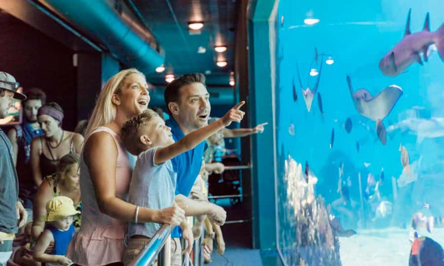 Gold Coast: Jet Boat Ride & Sea World Entry Ticket - Why the Arro Jet makes a good first act