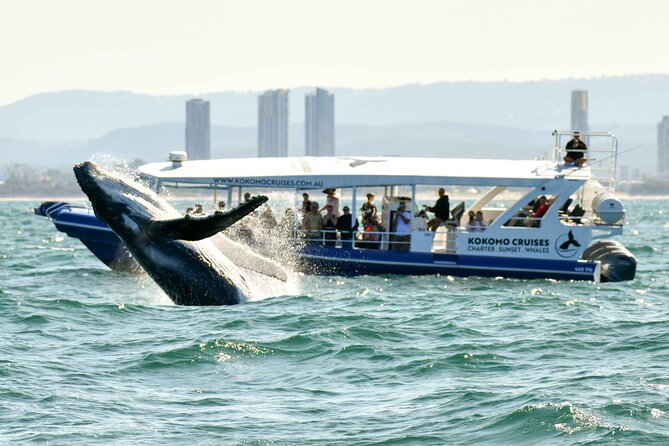 Gold Coast V8 Jet Boat Rapid Ride - Southport Seaway and the feel of open water