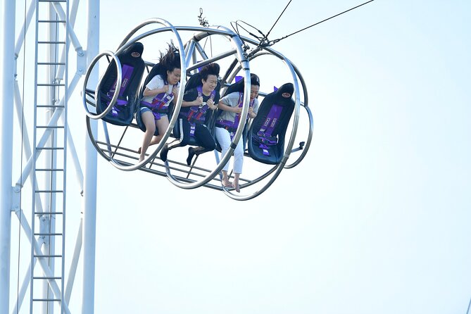 GX-5 Extreme Swing Admission Ticket - Who should ride the GX-5?