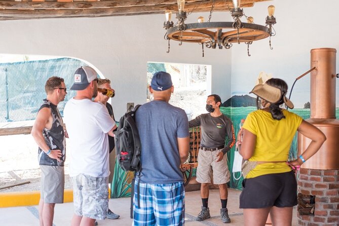 Half-Day San José del Cabo Zip Line and Rappel Adventure - Who will enjoy this outing most