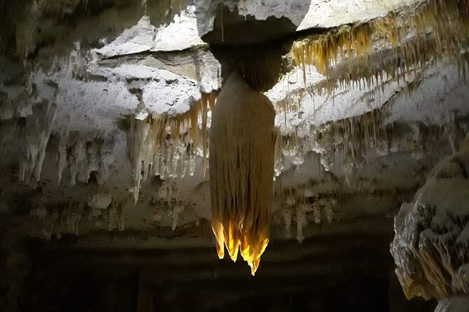 Hidden Mallorca: Sea Caving Adventure - Is $90.38 a fair price?