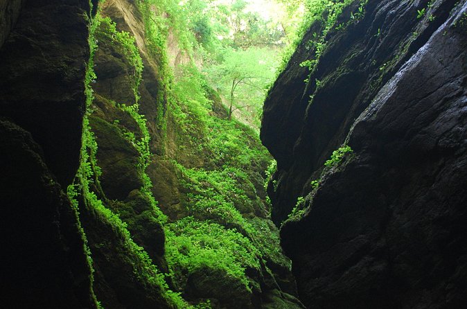 Infernet sport canyoning in Chartreuse - Grenoble - Who should book this canyoning experience?