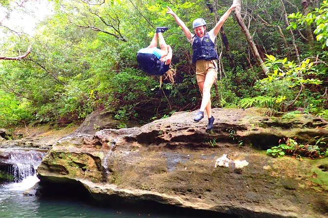 Iriomote Island 1 Day Canyoning & Yubu Island Sightseeing - Key points at a glance