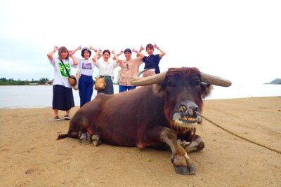 Iriomote Island 1 Day Canyoning & Yubu Island Sightseeing