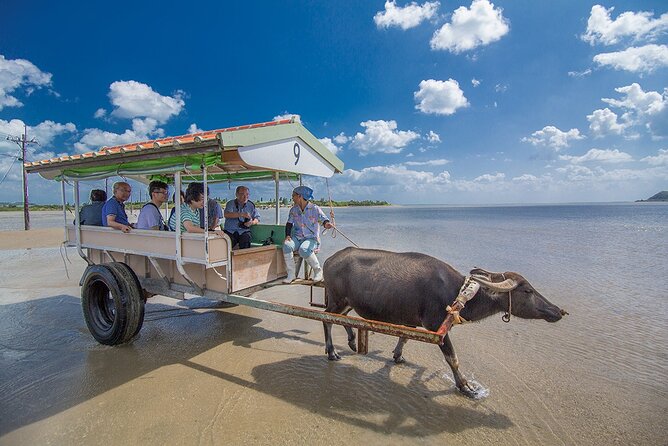 Iriomote Island 1 Day Canyoning & Yubu Island Sightseeing - Lunch and the change of pace