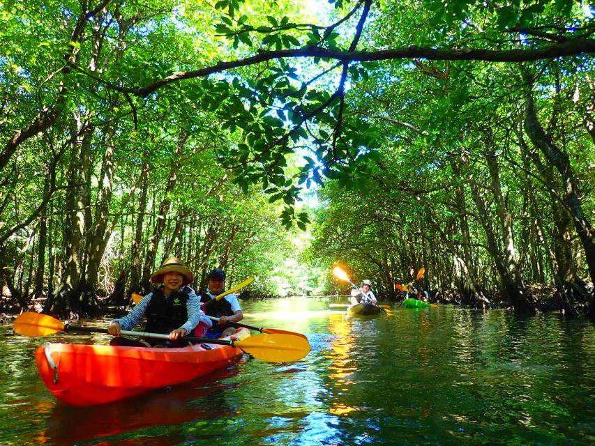 Iriomote Island: SUP or Canoeing and Canyoning Tour - Quick points before you book