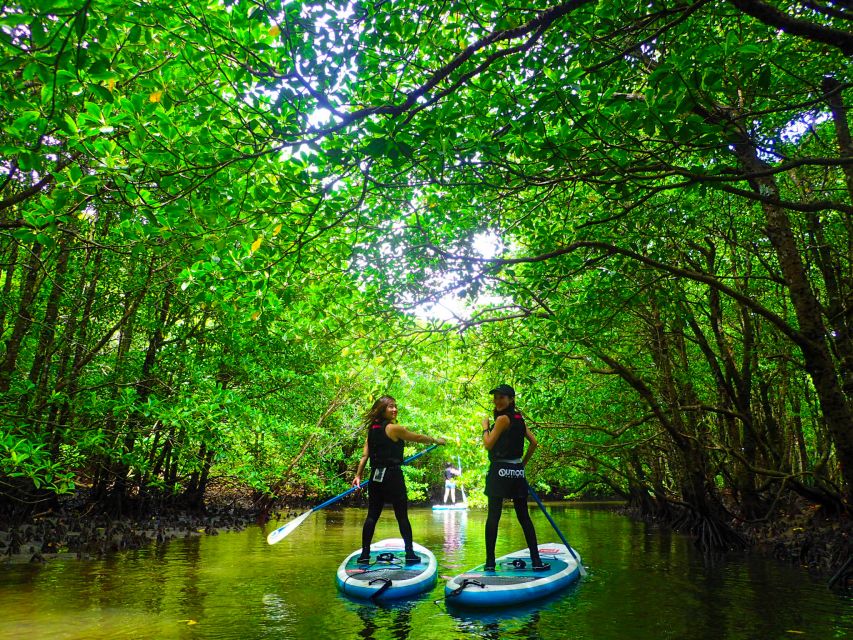 Iriomote Island: SUP or Canoeing and Canyoning Tour - Physical demands, weather, and safety