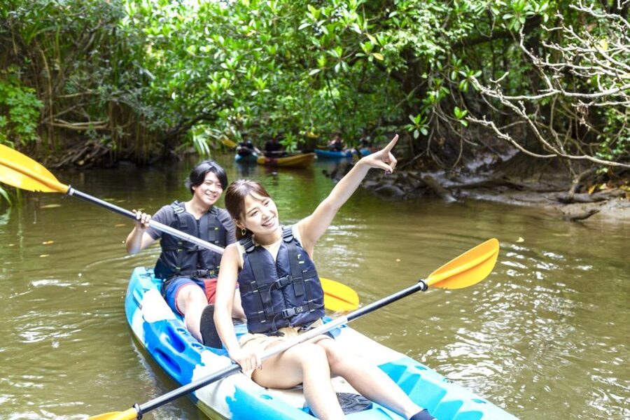 Iriomote Island: SUP or Canoeing and Canyoning Tour - Who should choose canoeing, and who should choose SUP